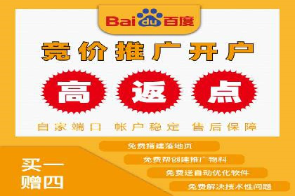 某品牌SEM广告投放的ROI提升案例